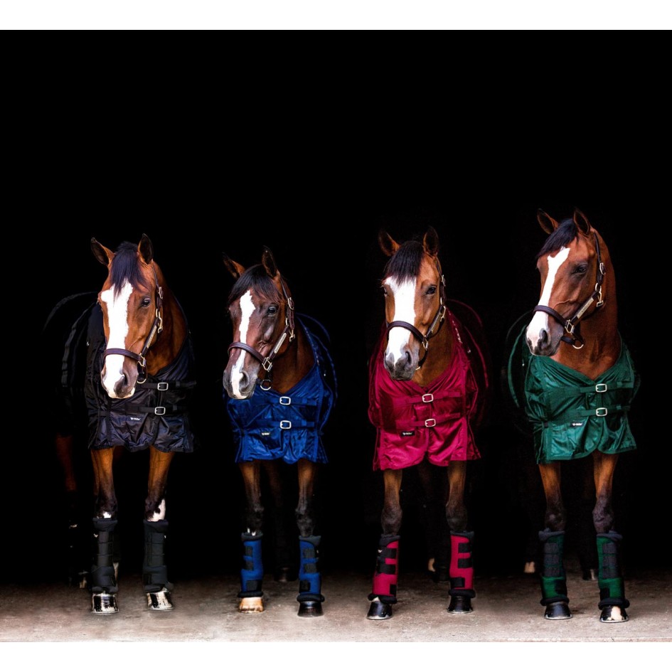 Back on Track Stallgamachen "Royal"