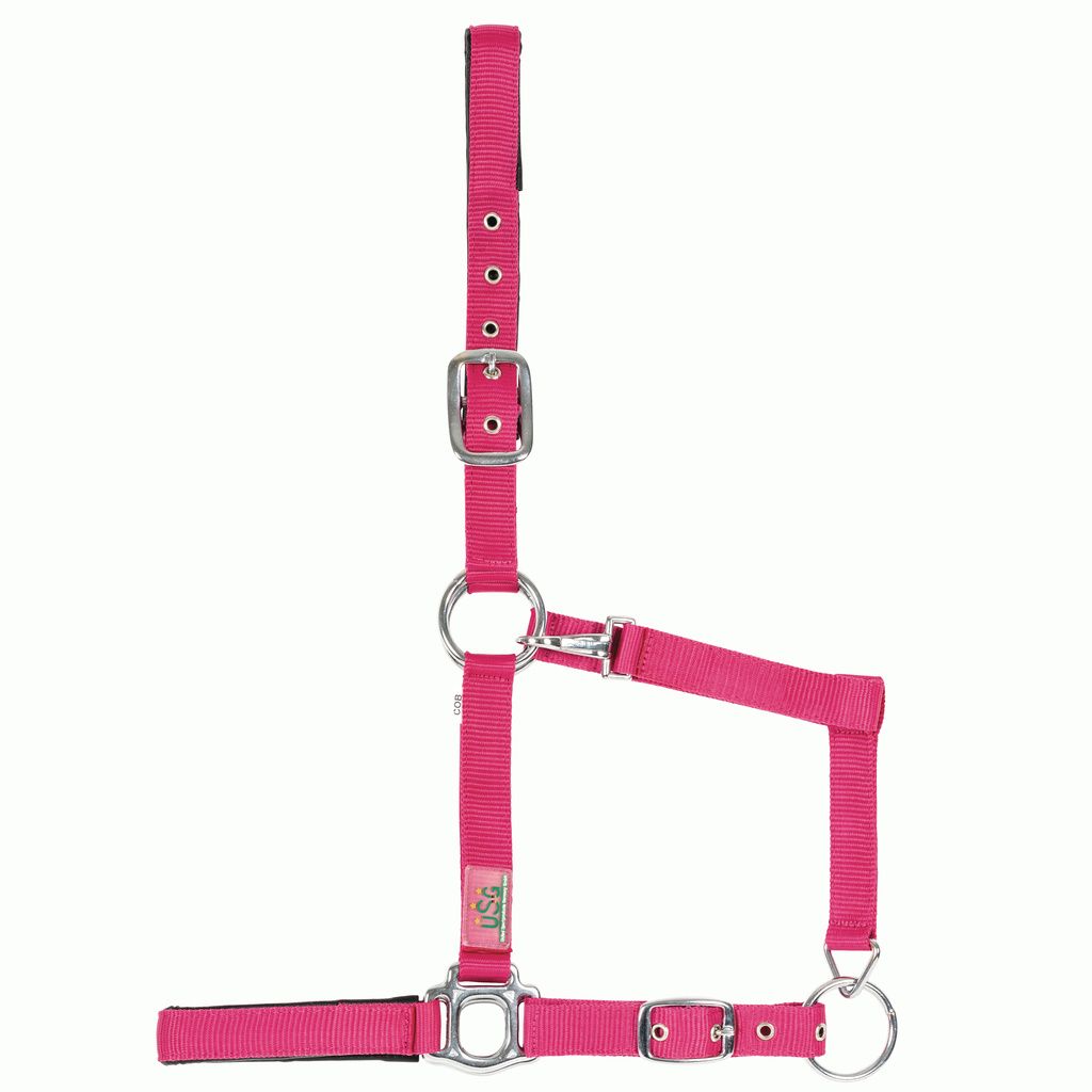 USG Halfter pink