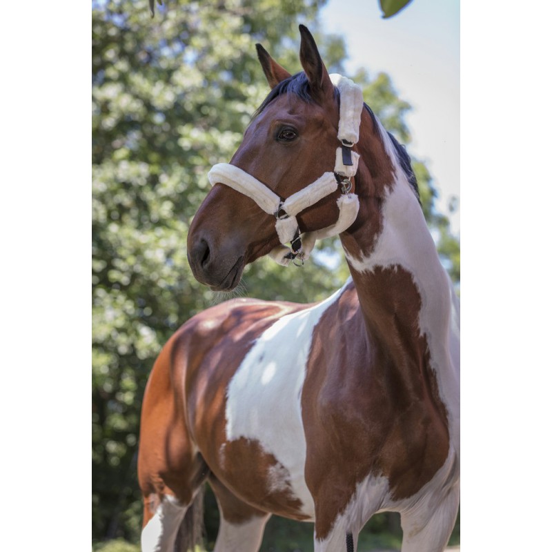 NORTON "Full mouton synthétique" Halfter, Shetty und Pony