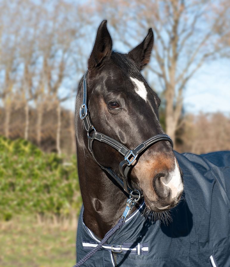 Halfter "Soft", Rinderleder