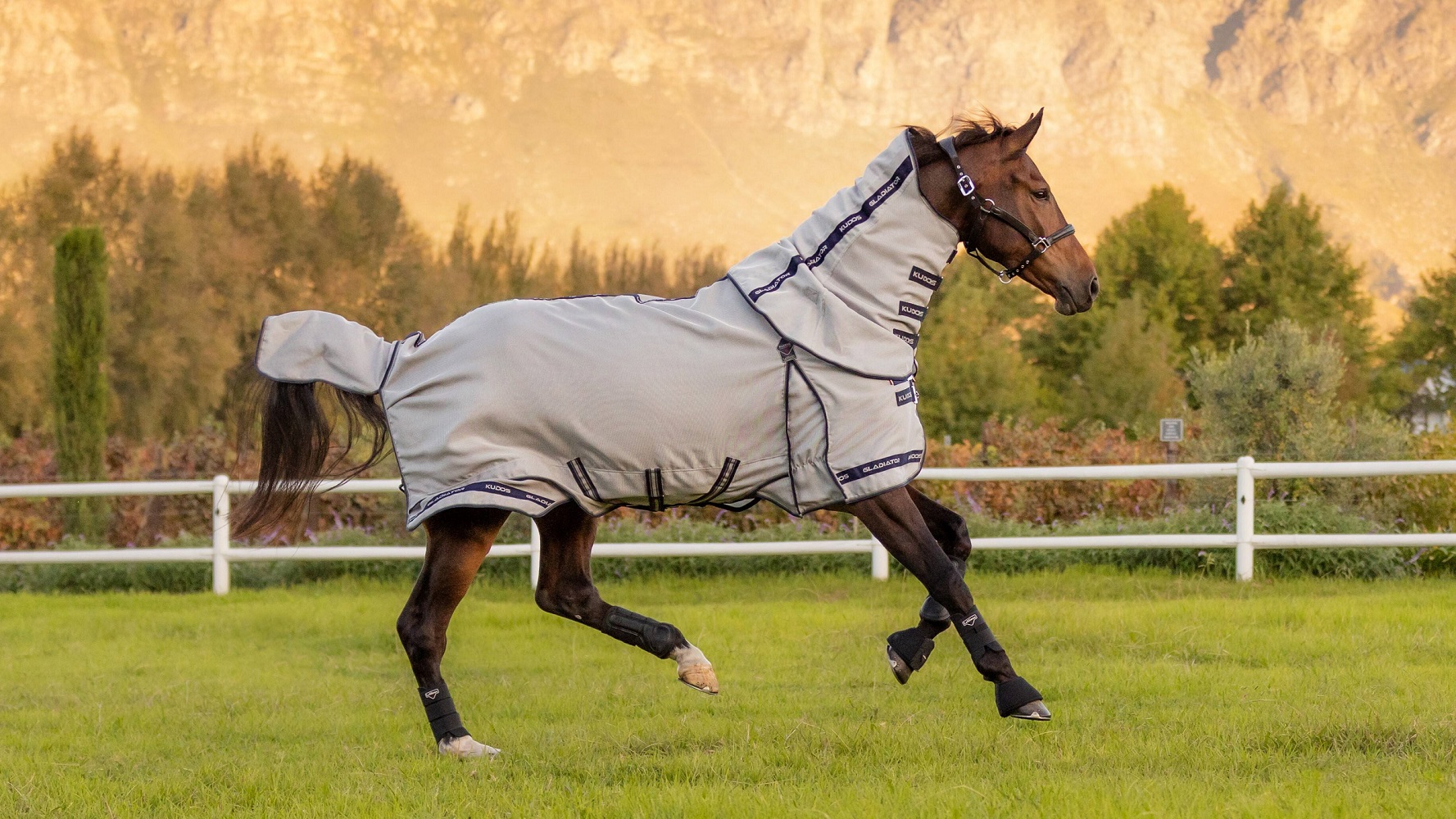 LeMieux Kudos Gladiator Fliegendecke, Fly Rug, Fliegenschutz