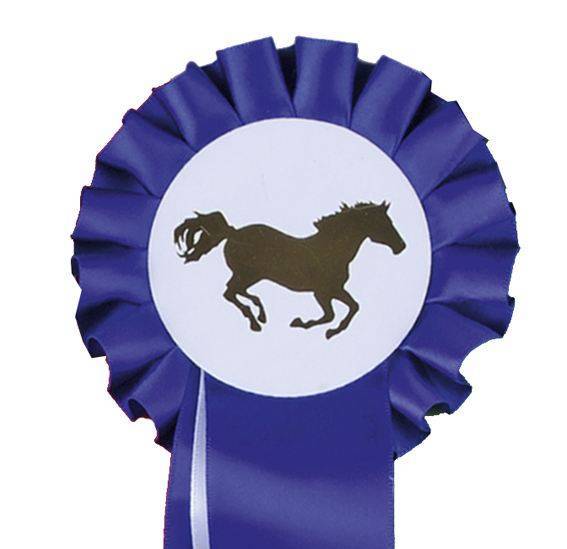 Turnierschleife "Einfachrosette"