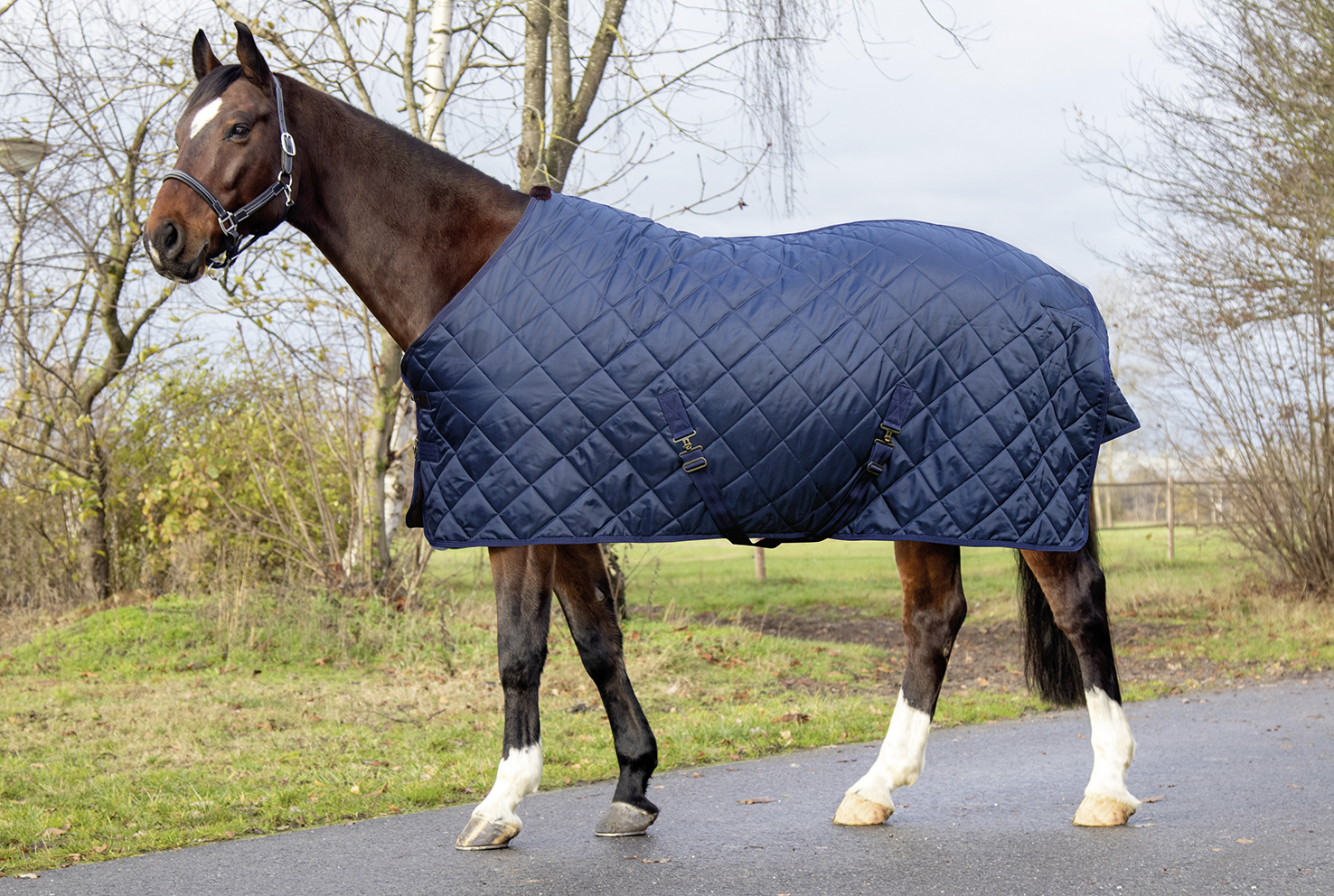 Stalldecke "Winter", 150g Wattefüllung