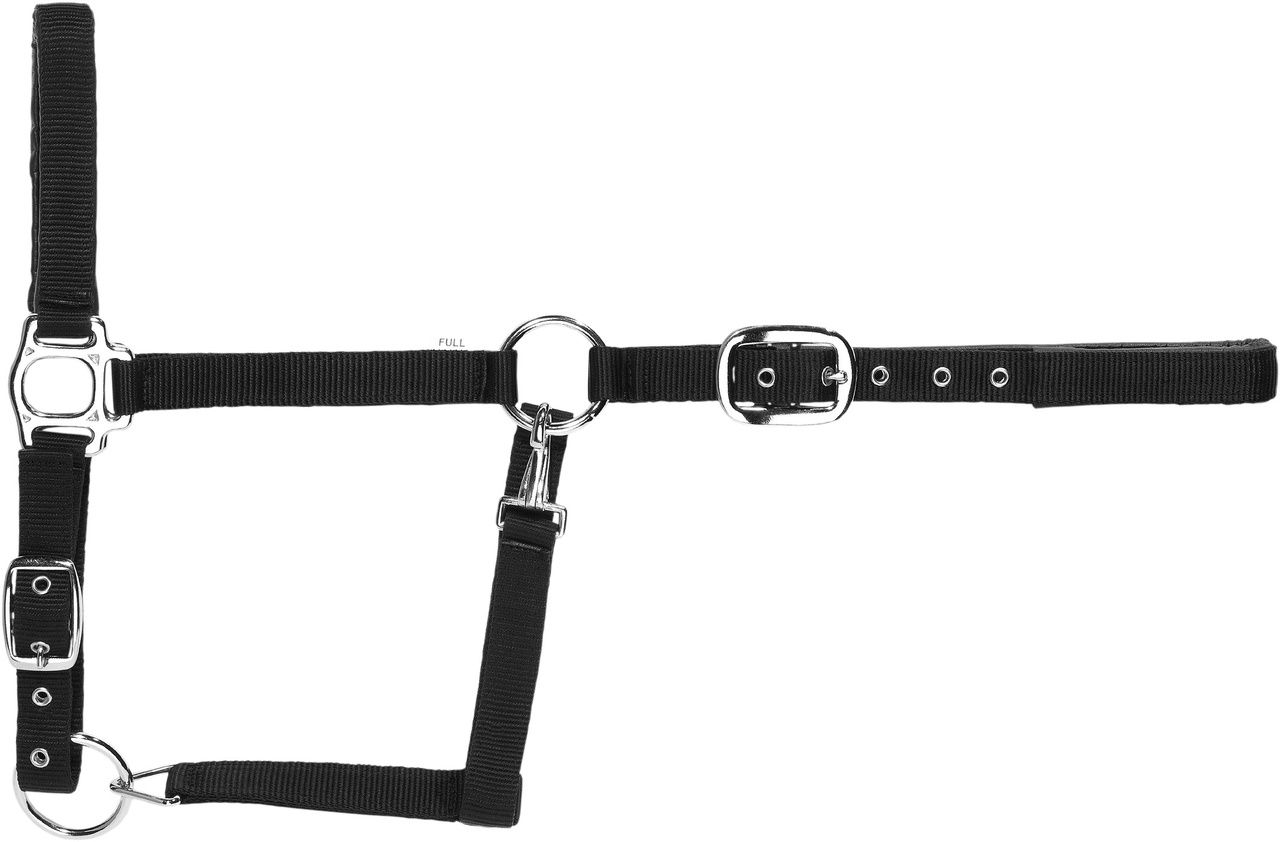UGS Halfter schwarz