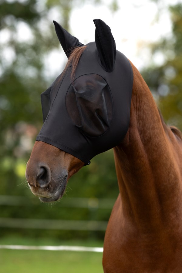 Covalliero Fliegenschutzmaske FinoStretch Zipper,navy,Pony,Sale