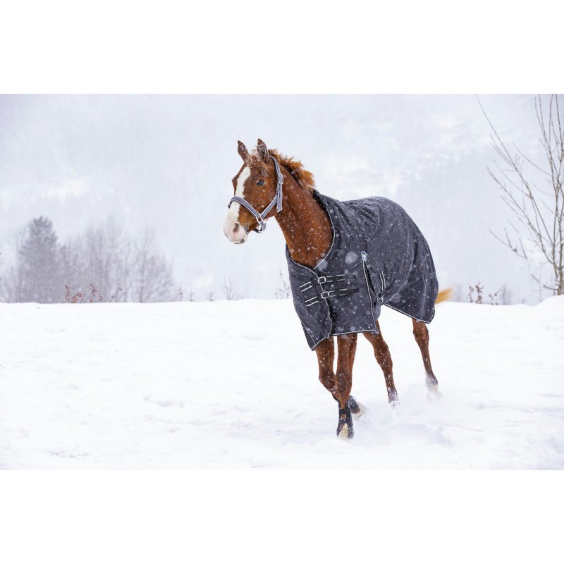 RIDING WORLD "Oxford", wasserdichte Decke, 220g Füllung, schwarz