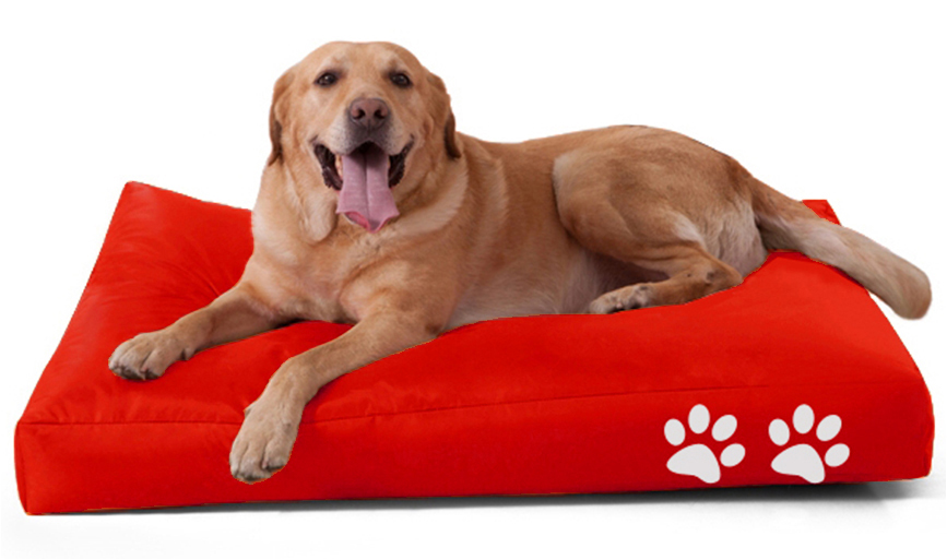 Kinzler Hunde-/Katzenbett, 70 x 100 x 15 cm, Hundekissen, Tierliegeplatz, Outdoorfähig
