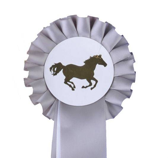 Turnierschleife "Einfachrosette"