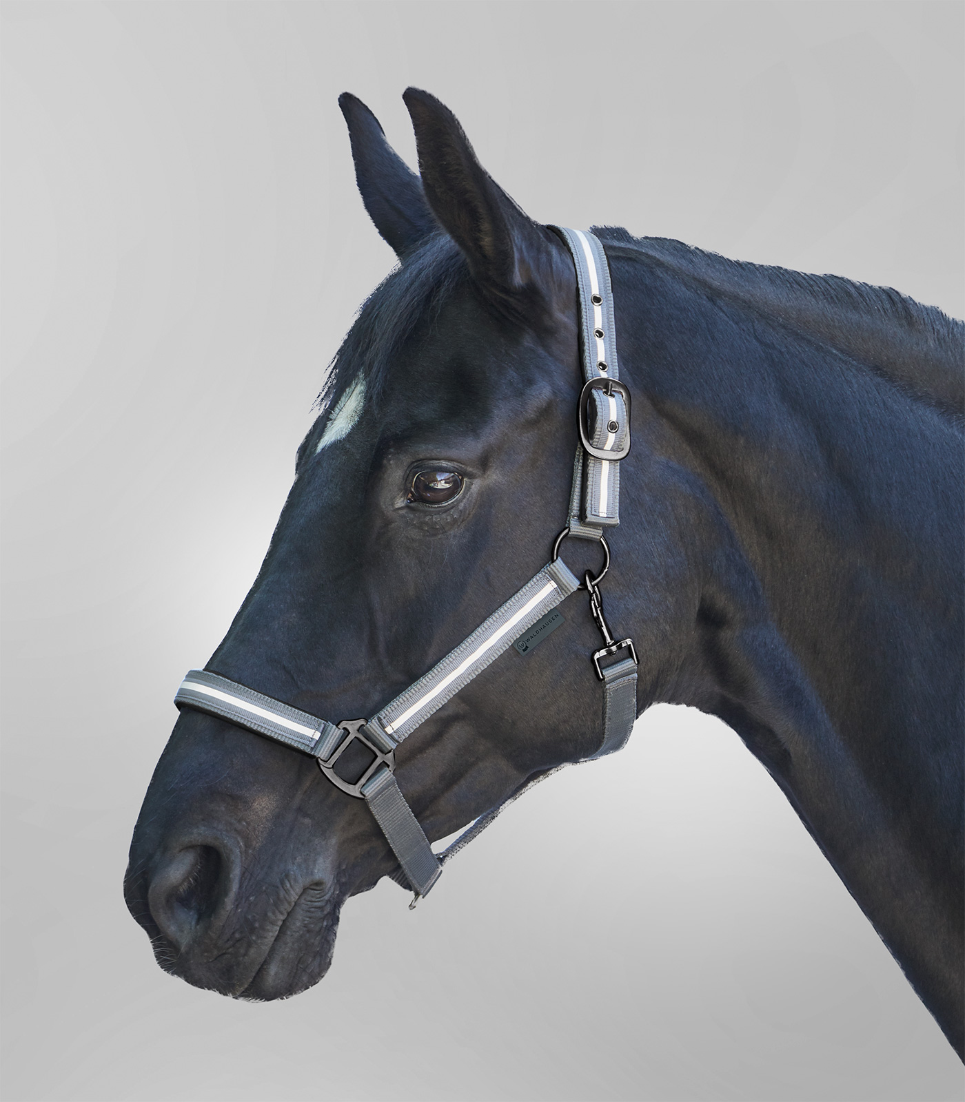 Waldhausen REFLEX Halfter Stripe,grau,Warmblut,Sale