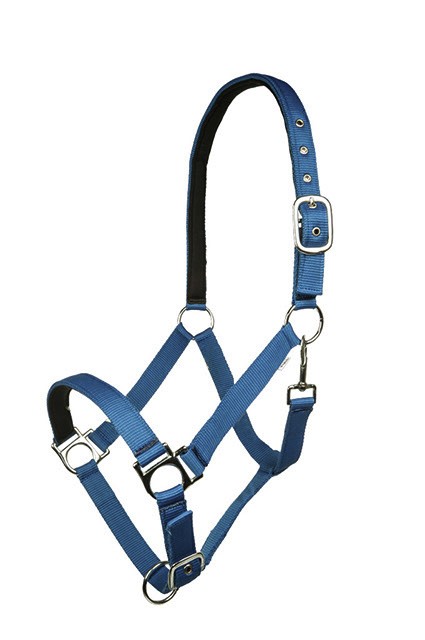 HKM Halfter "Stars Softice"