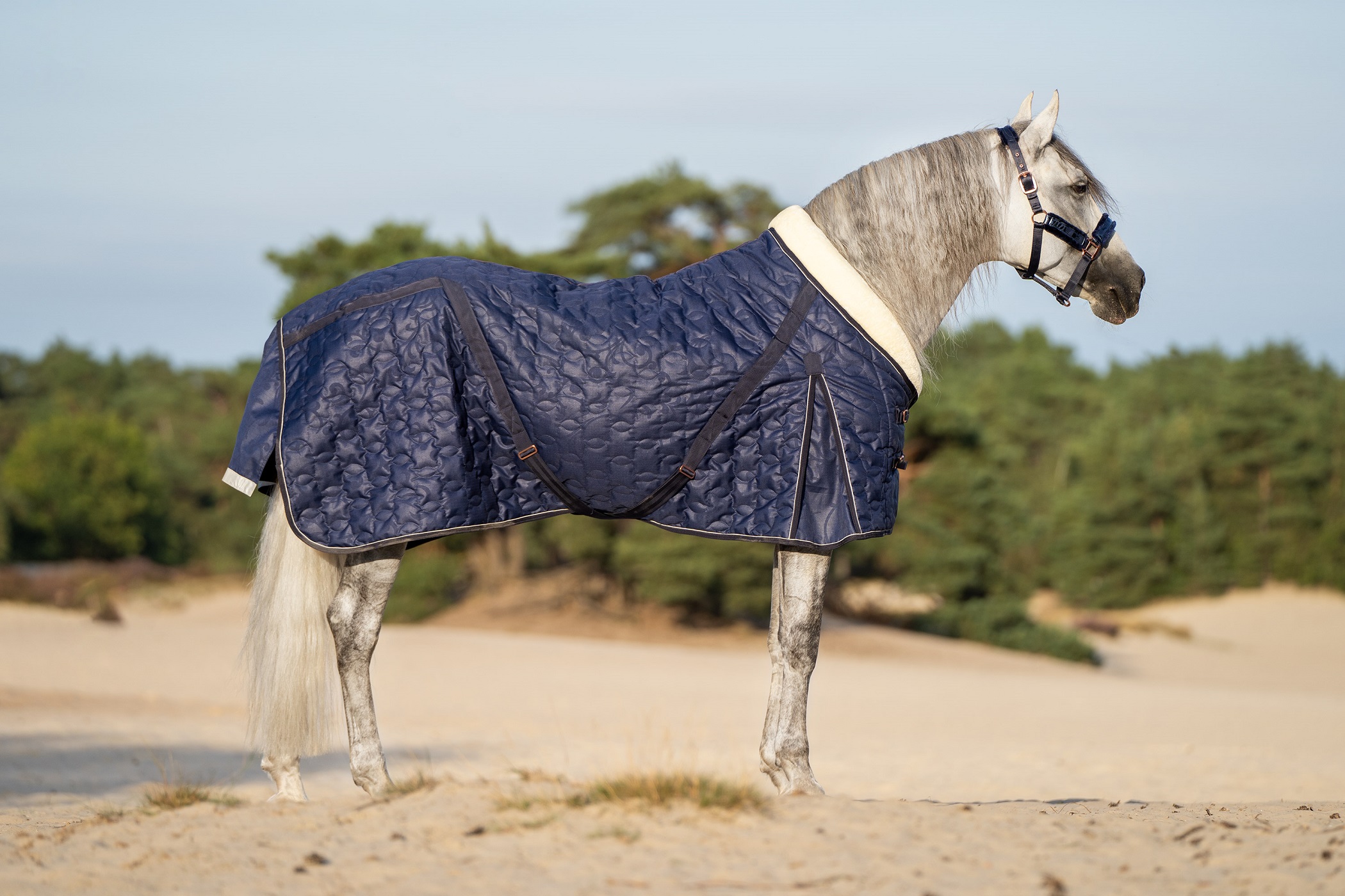 Imperial Riding Stalldecke IHRSuper-dry, 100g Füllung