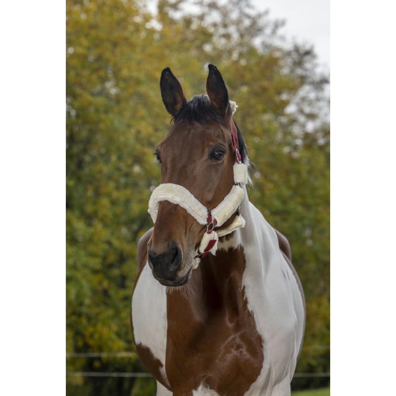 NORTON "Full mouton synthétique" Halfter, Shetty und Pony