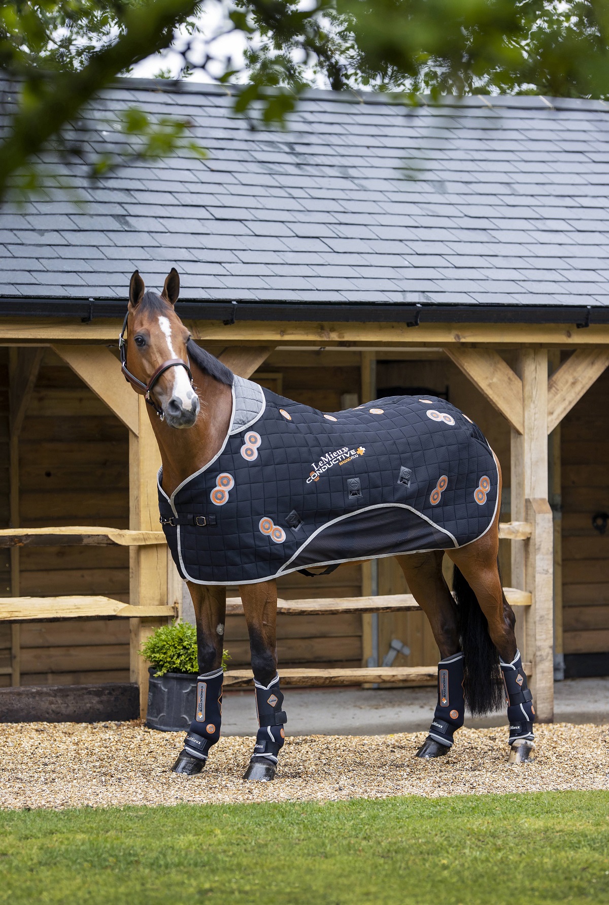 LeMieux Conductive Magno Rug, Therapiedecke, Magnetdecke, schwarz