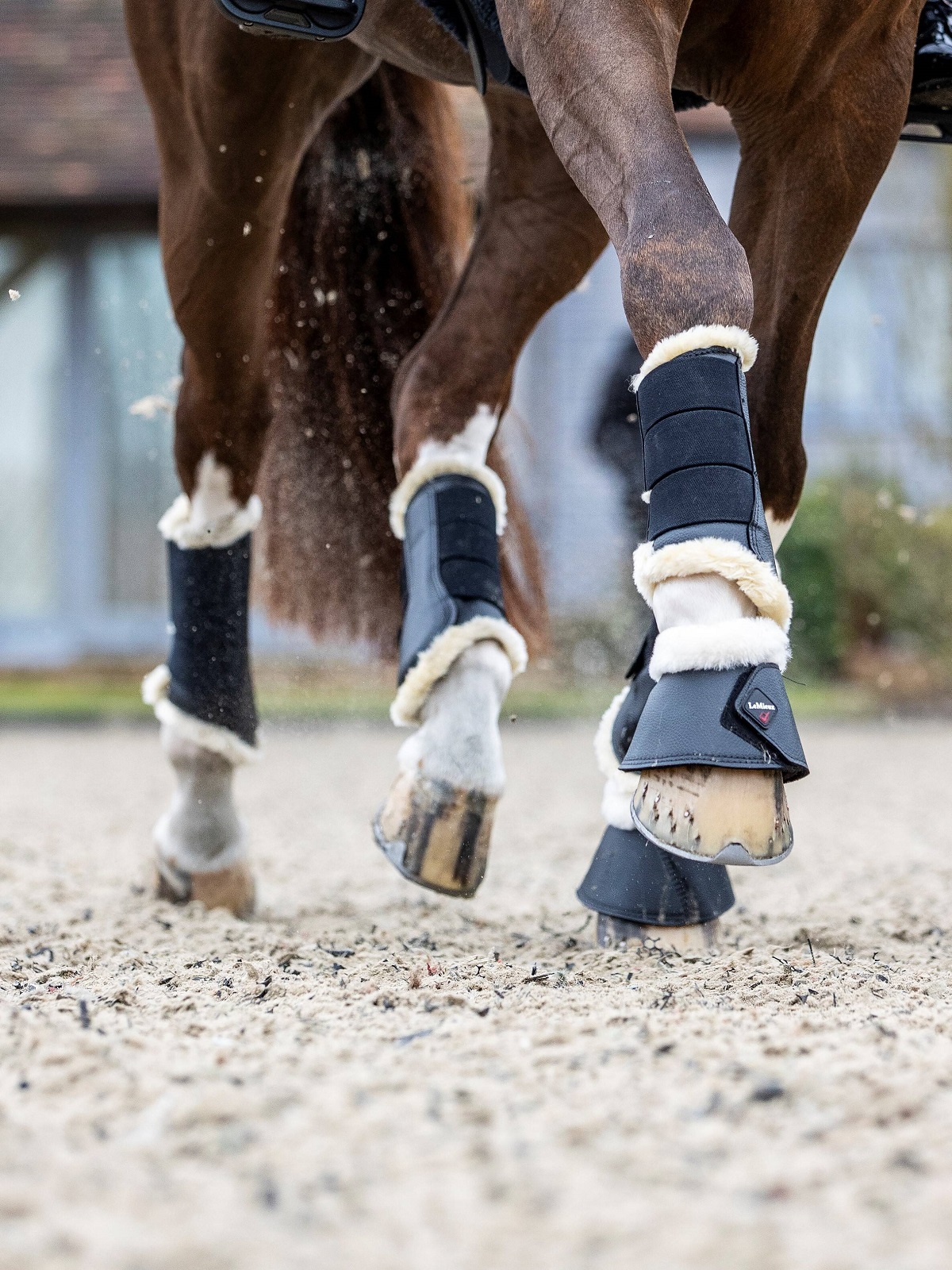 LeMieux Fleece Lined Brushing Boots, Gamaschen