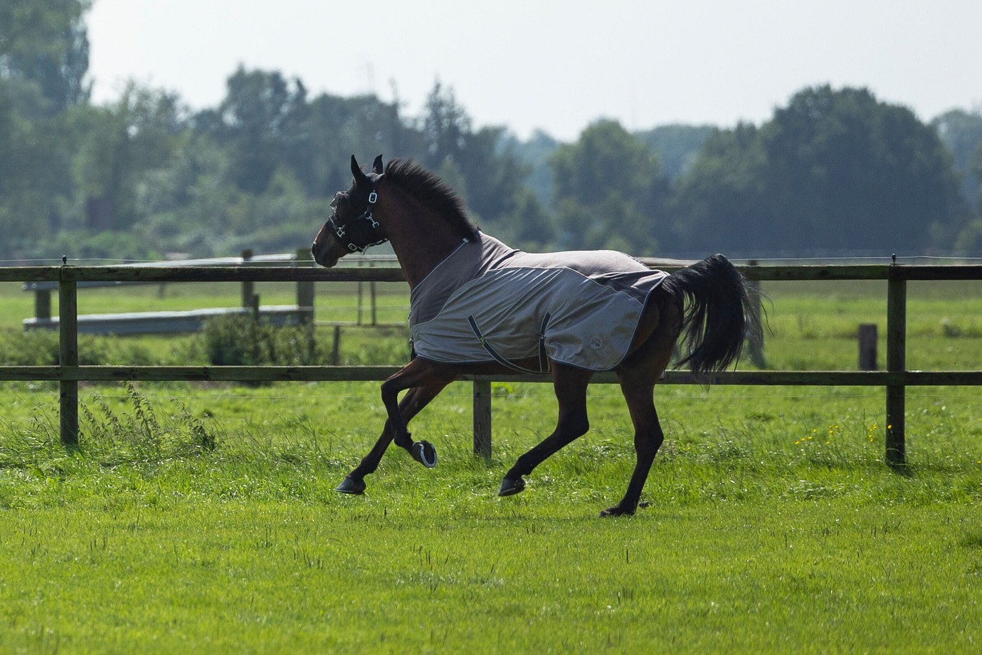 HKM   Fliegendecke -Comfort- mit Fleece