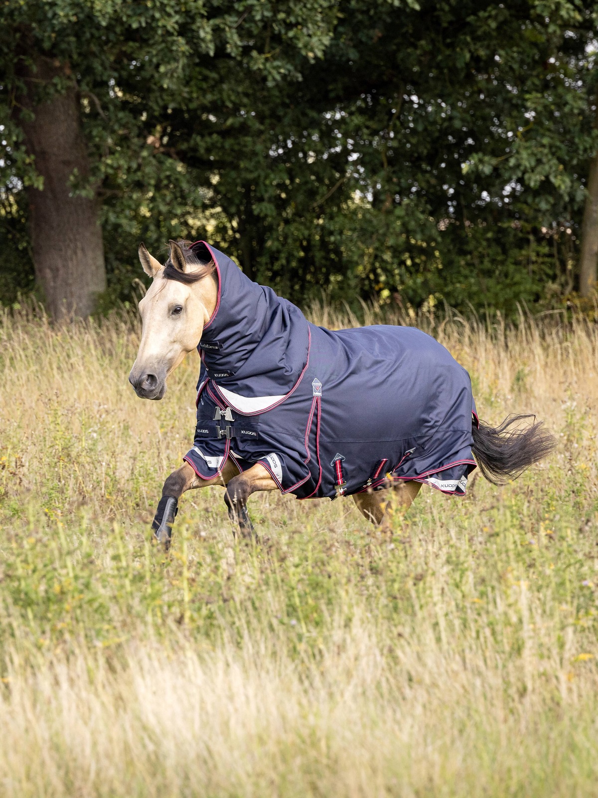 LeMieux Kudos Turnout Rug, Weidedecke, Pferdedecke, 50g Füllung, Navy