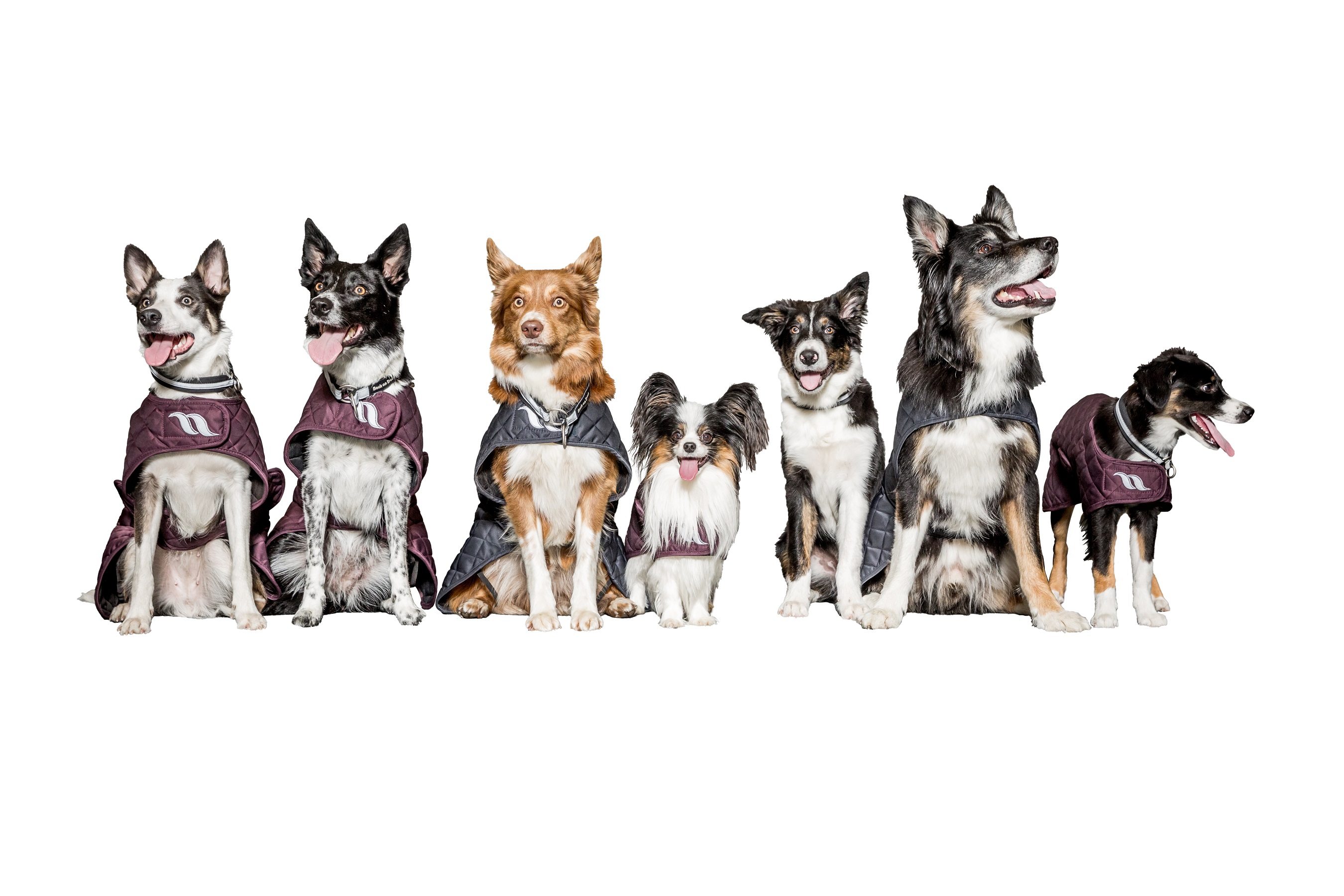 Back on Track Hundemantel Nights Collection