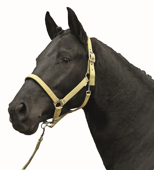 HKM Halfter "Stars Softice"