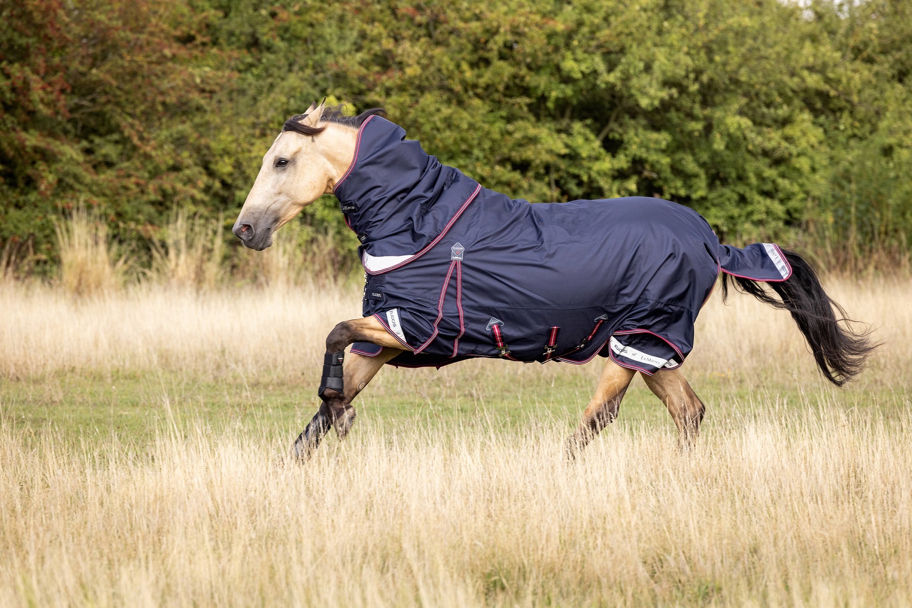 LeMieux Kudos Turnout Rug, Weidedecke, Pferdedecke, 50g Füllung, Navy
