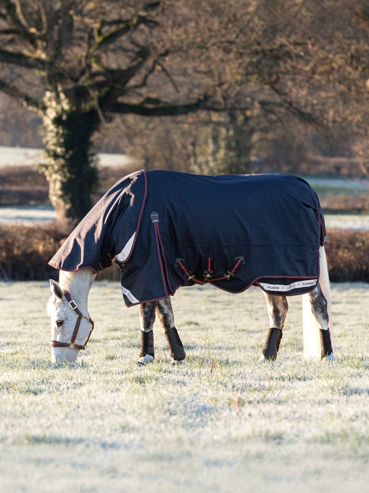 LeMieux Kudos Turnout Rug, Weidedecke, Pferdedecke, 100g Füllung, Navy