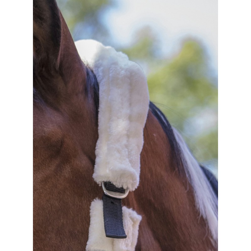 NORTON "Full mouton synthétique" Halfter, Shetty und Pony