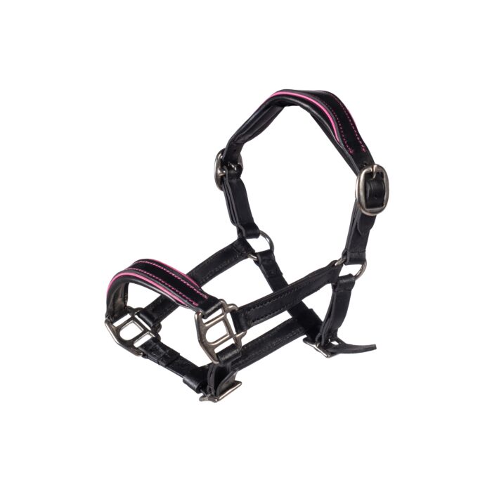 HKM Lederhalfter Manchester -Hobby Horsing-