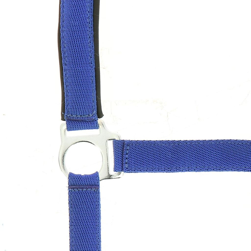 NORTON Nylon Halfter, mit Neopren unterlegt, Kaltblut