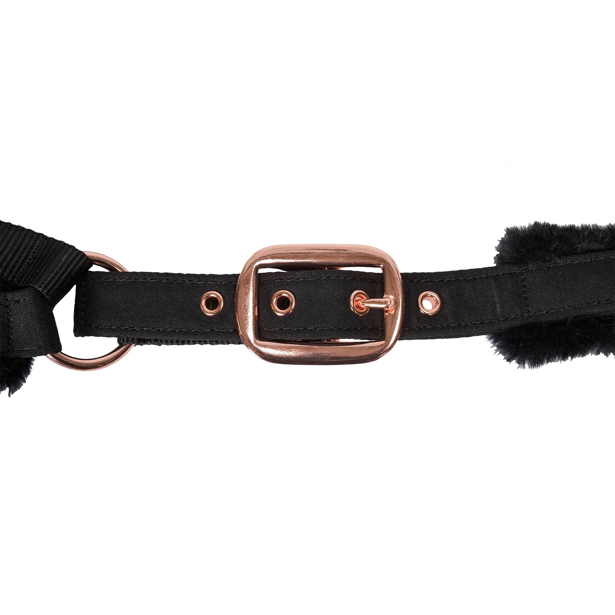 Back on Track Haze Kollektion Halfter, schwarz/rosegold
