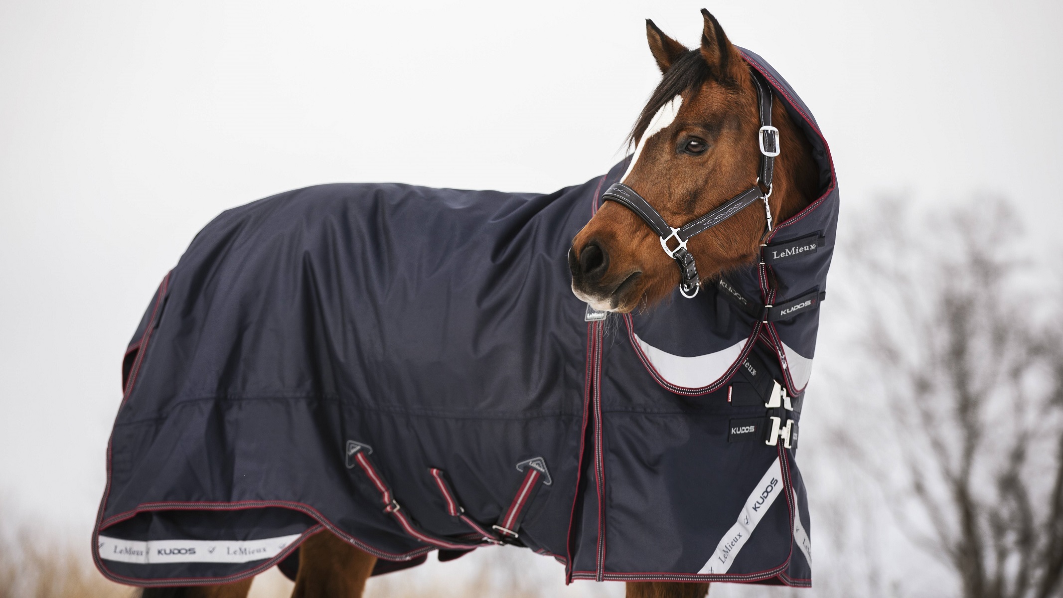 LeMieux Kudos Turnout Rug, Weidedecke, Pferdedecke, 200g Füllung, navy