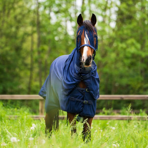 Imperial Riding Fliegendecke IRHReese