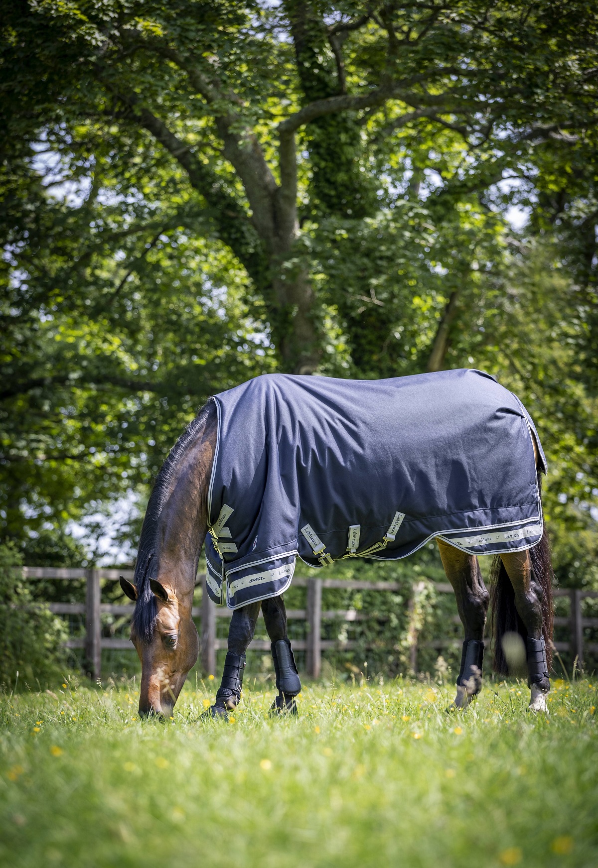 LeMieux Arika Featherweight Rug, Weidedecke, Pferdedecke, 0g Füllung, navy