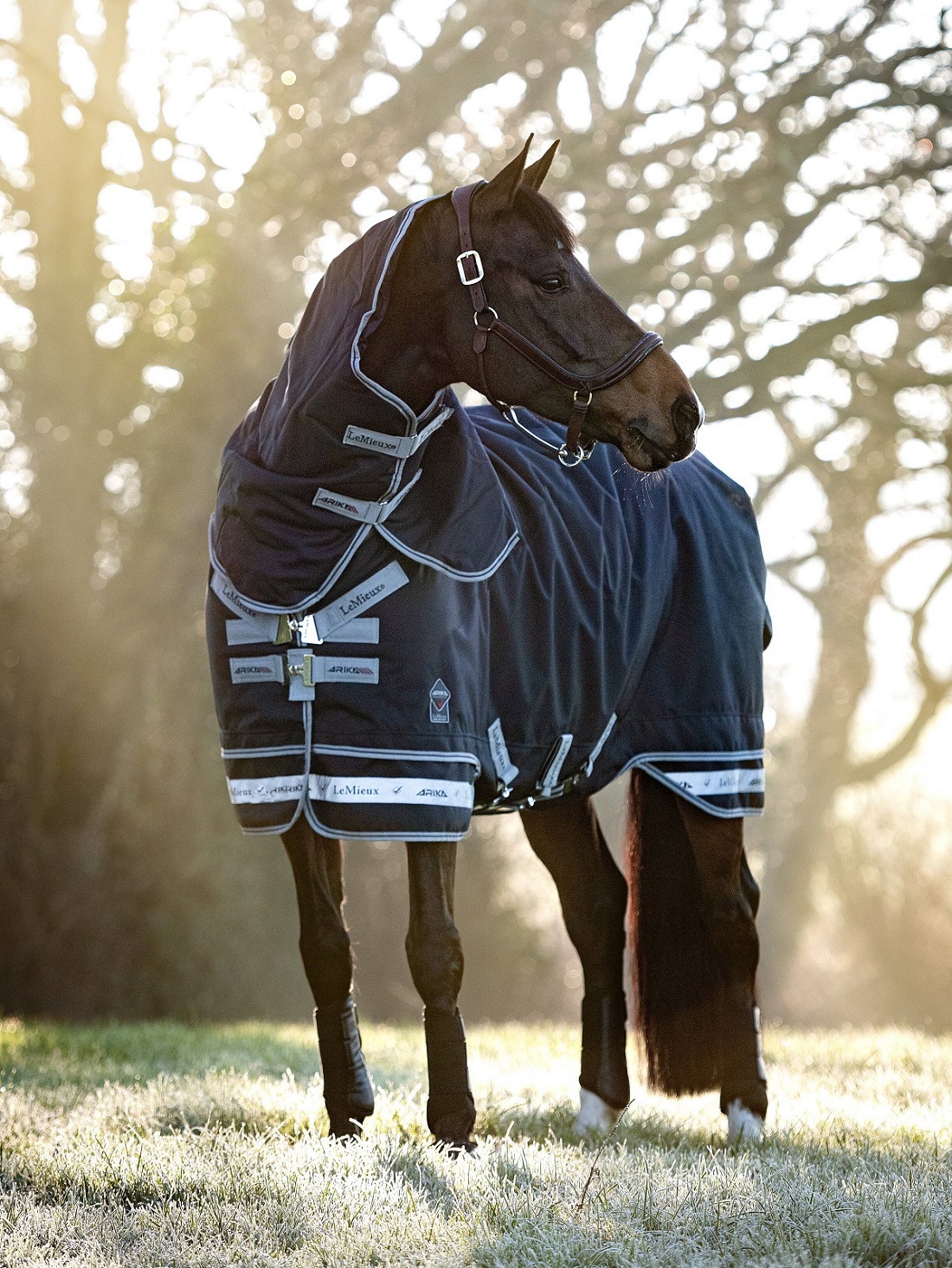 LeMieux Arika Storm-Tek Rug, Weidedecke, Pferdedecke, 350g Füllung, navy