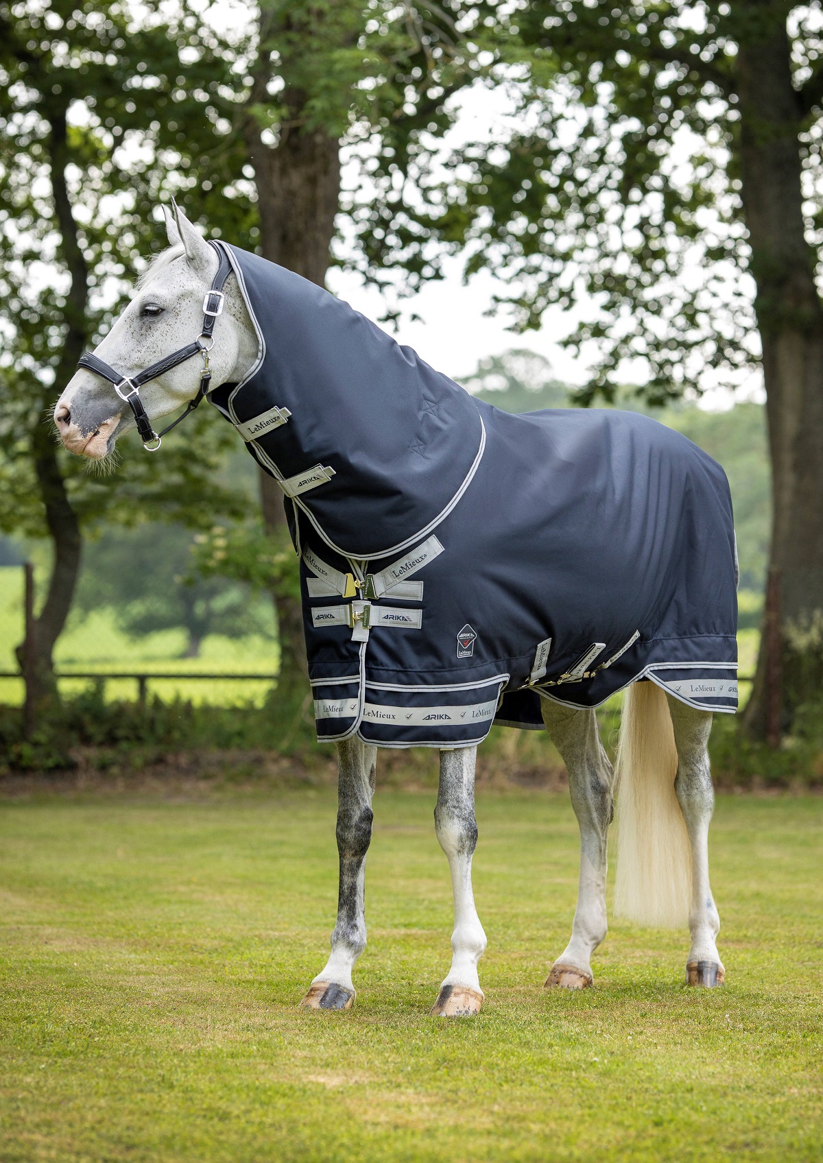 LeMieux Arika Featherweight Rug, Weidedecke, Pferdedecke, 0g Füllung, navy