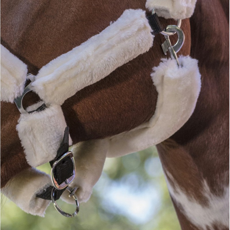 NORTON "Full mouton synthétique" Halfter, Shetty und Pony
