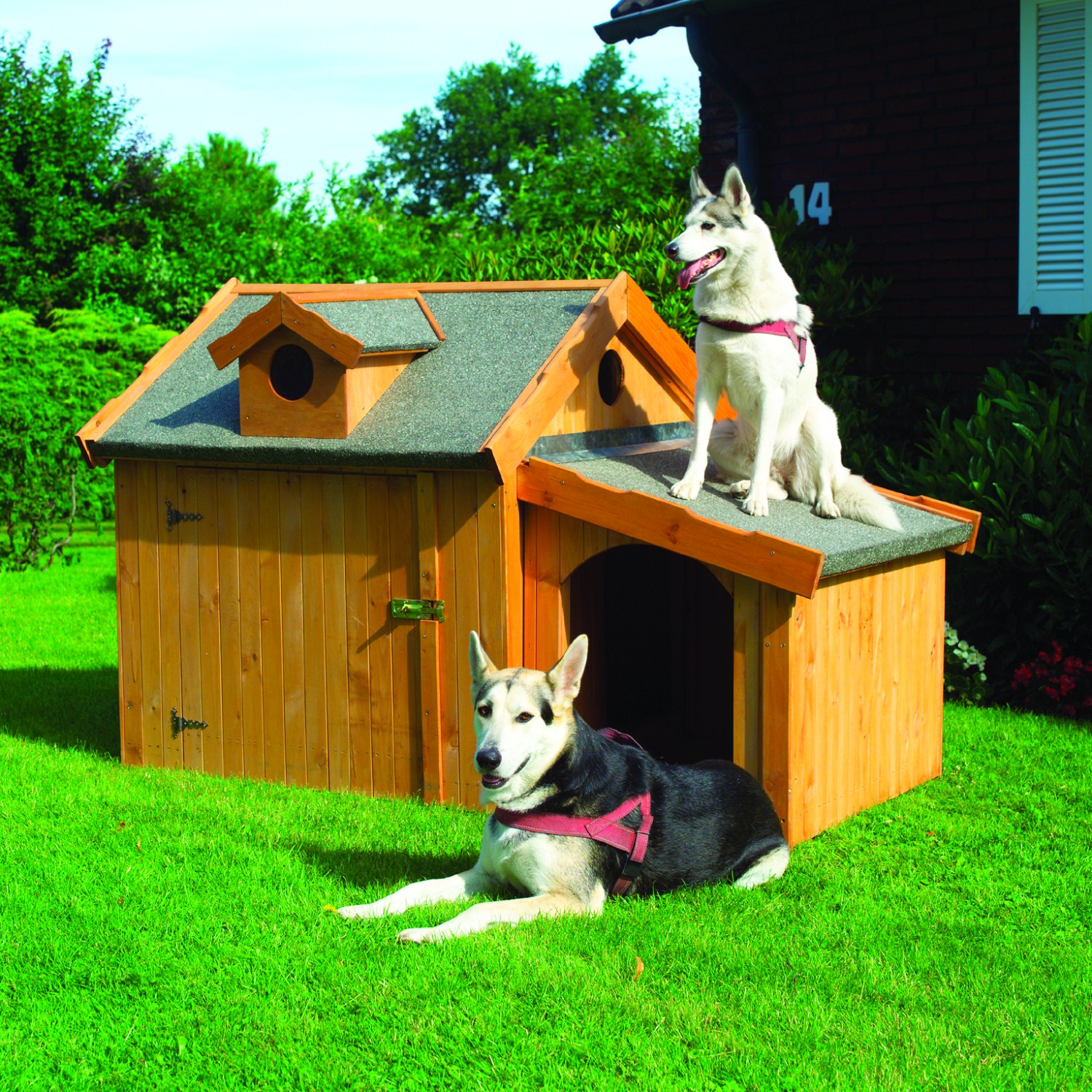 Pferdesport Hundehütte "Sunny II" mit Anbau Massivholz 176x118x112cm Hundehaus