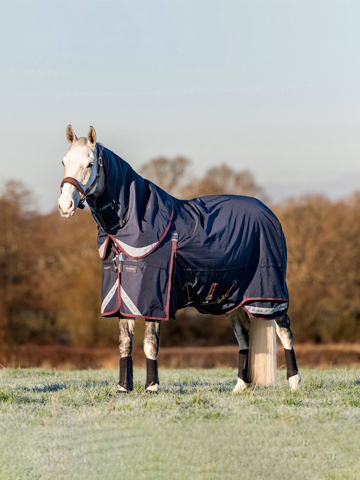 LeMieux Kudos Turnout Rug, Weidedecke, Pferdedecke, 100g Füllung, Navy