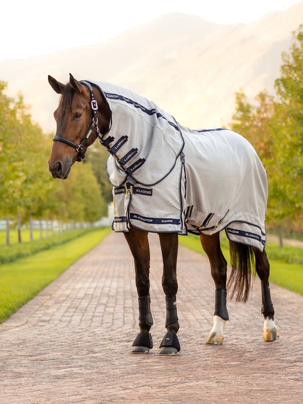 LeMieux Kudos Gladiator Fliegendecke, Fly Rug, Fliegenschutz