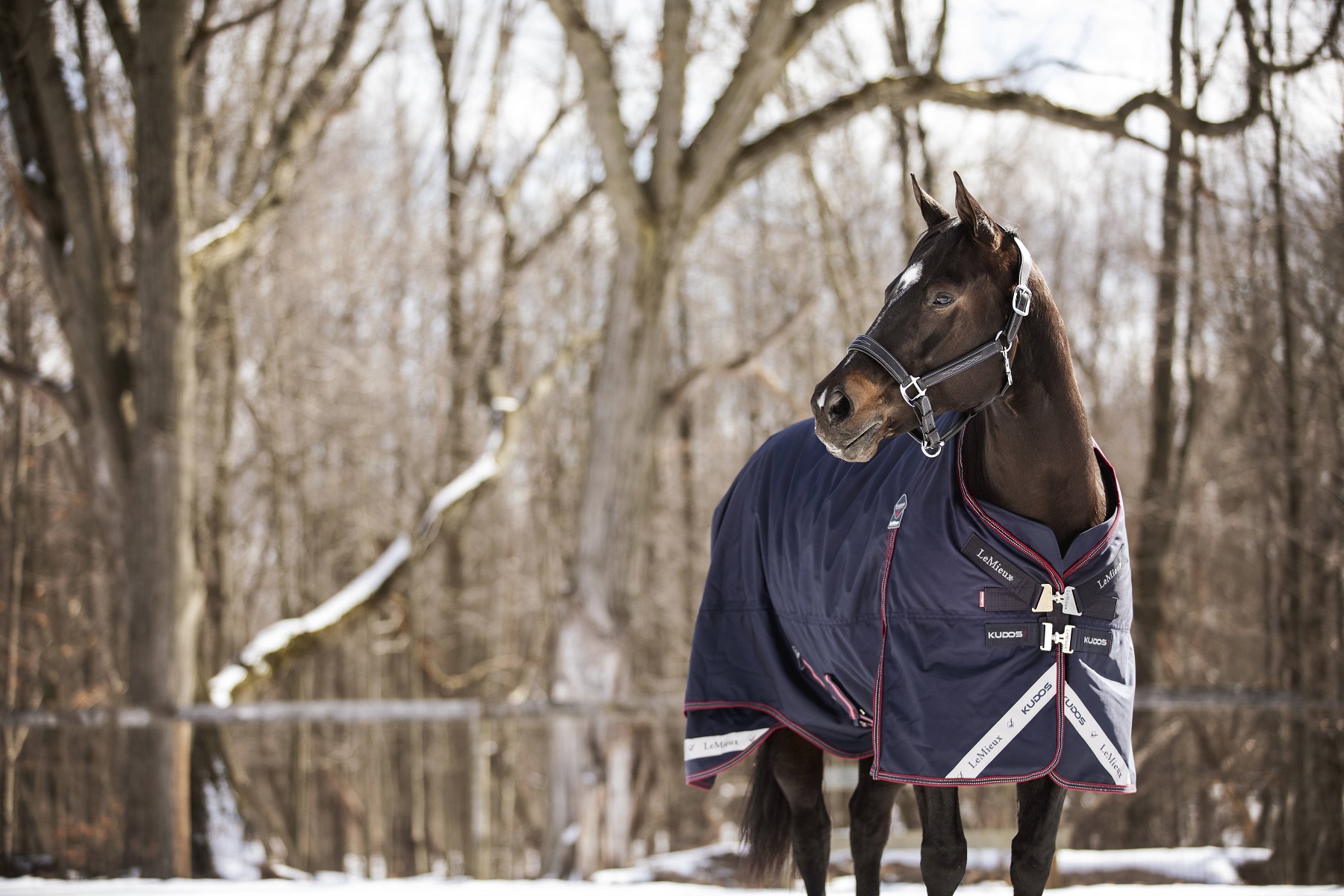 LeMieux Kudos Turnout Rug, Weidedecke, Pferdedecke, 350g Füllung, navy