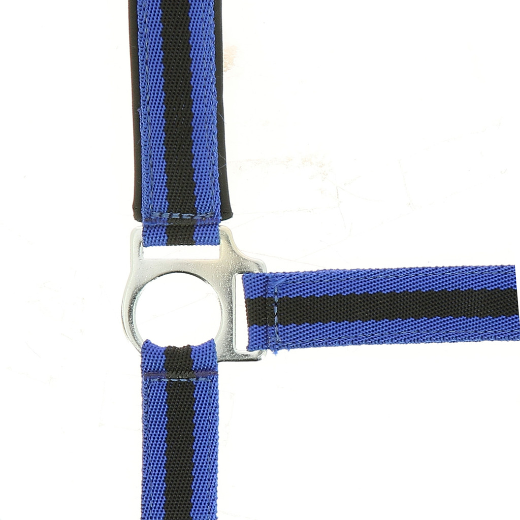 NORTON Nylon Halfter, mit Neopren unterlegt, Kaltblut