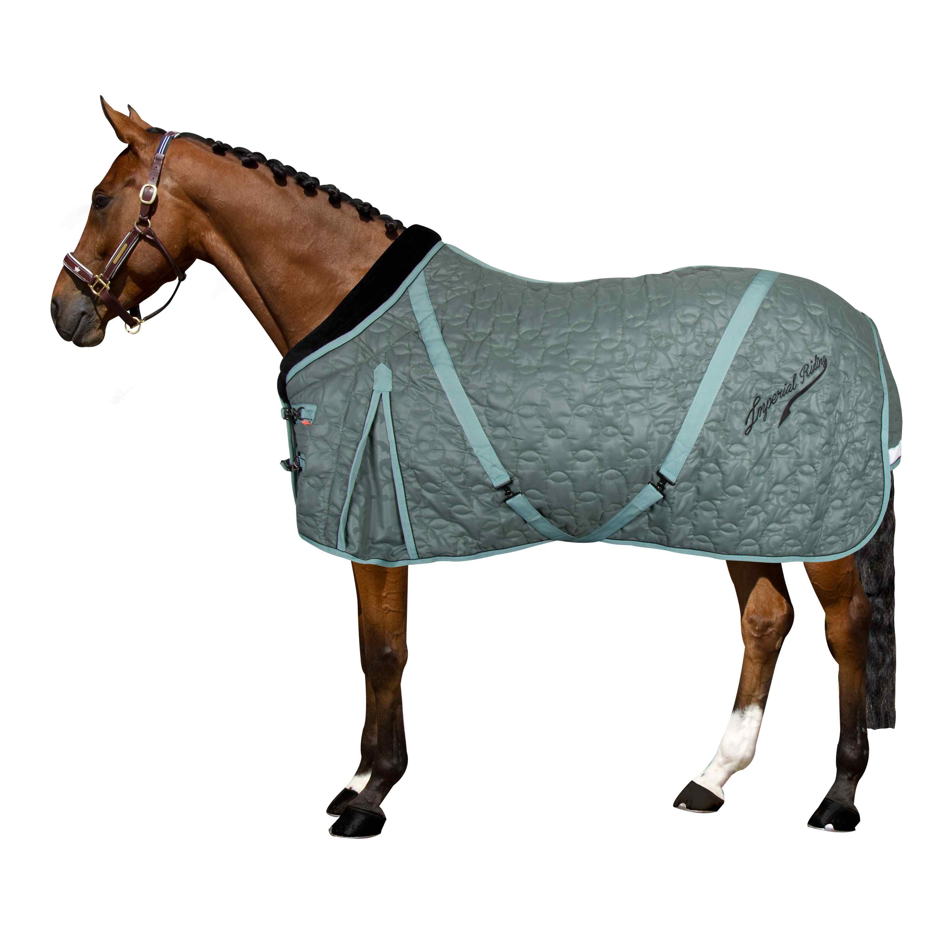 Imperial Riding Stalldecke IHRSuper-dry, 100g Füllung