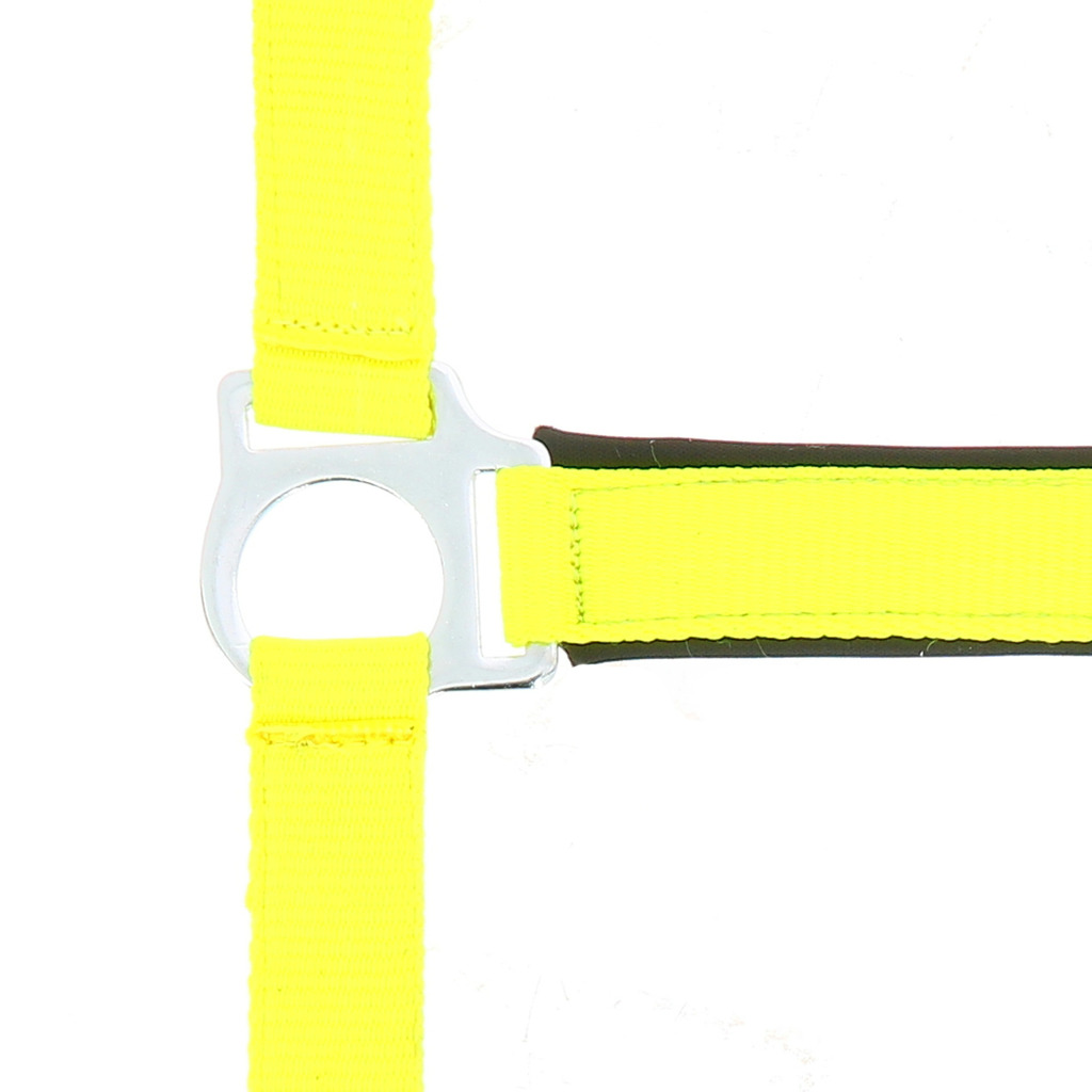 NORTON "Fluo" zweilagiges Halfter