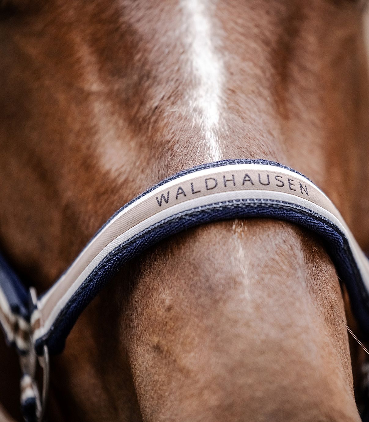 Waldhausen Halfter "Athletic",asphalt/schwarz,Pony,Sale