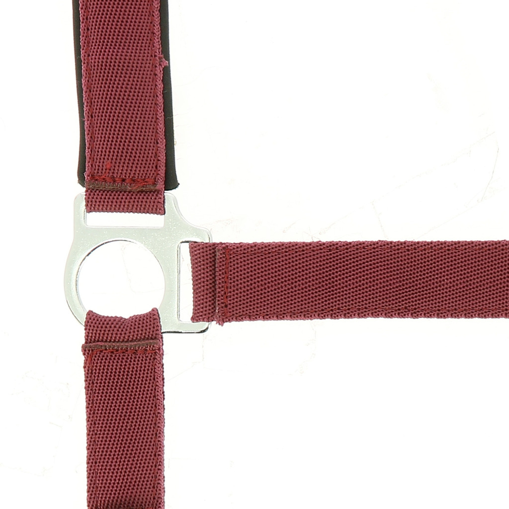 NORTON Nylon Halfter, mit Neopren unterlegt