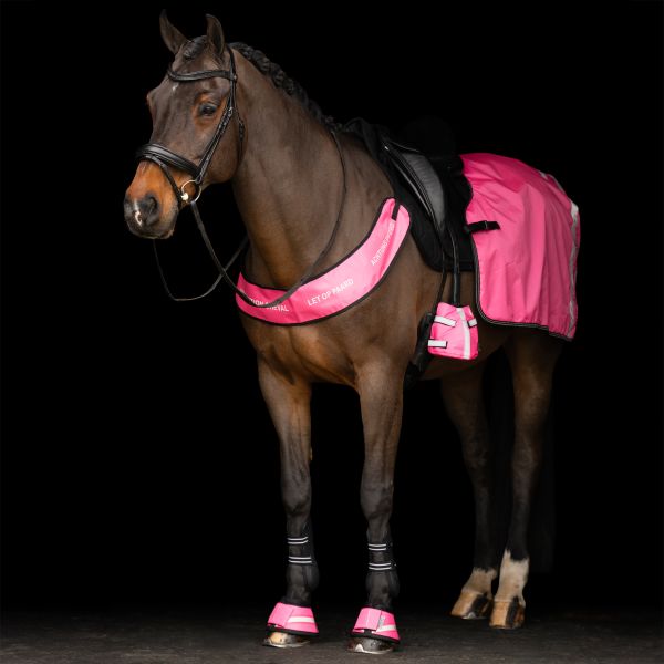 Ausreitdecke "IRHReflective"