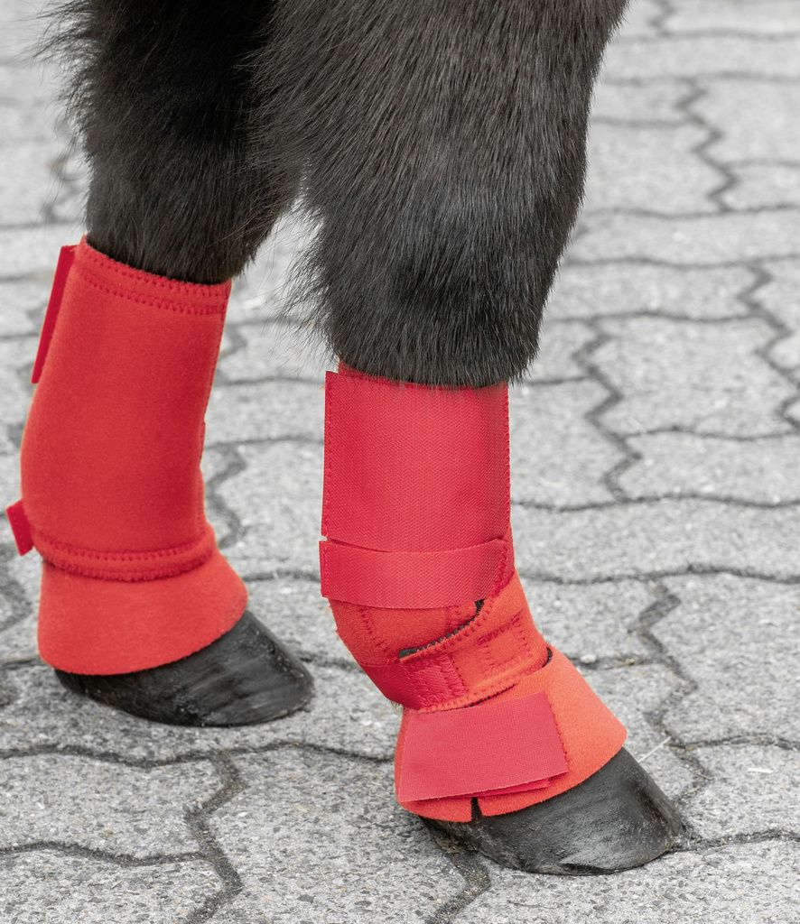 UGS Shetty Hufglocken