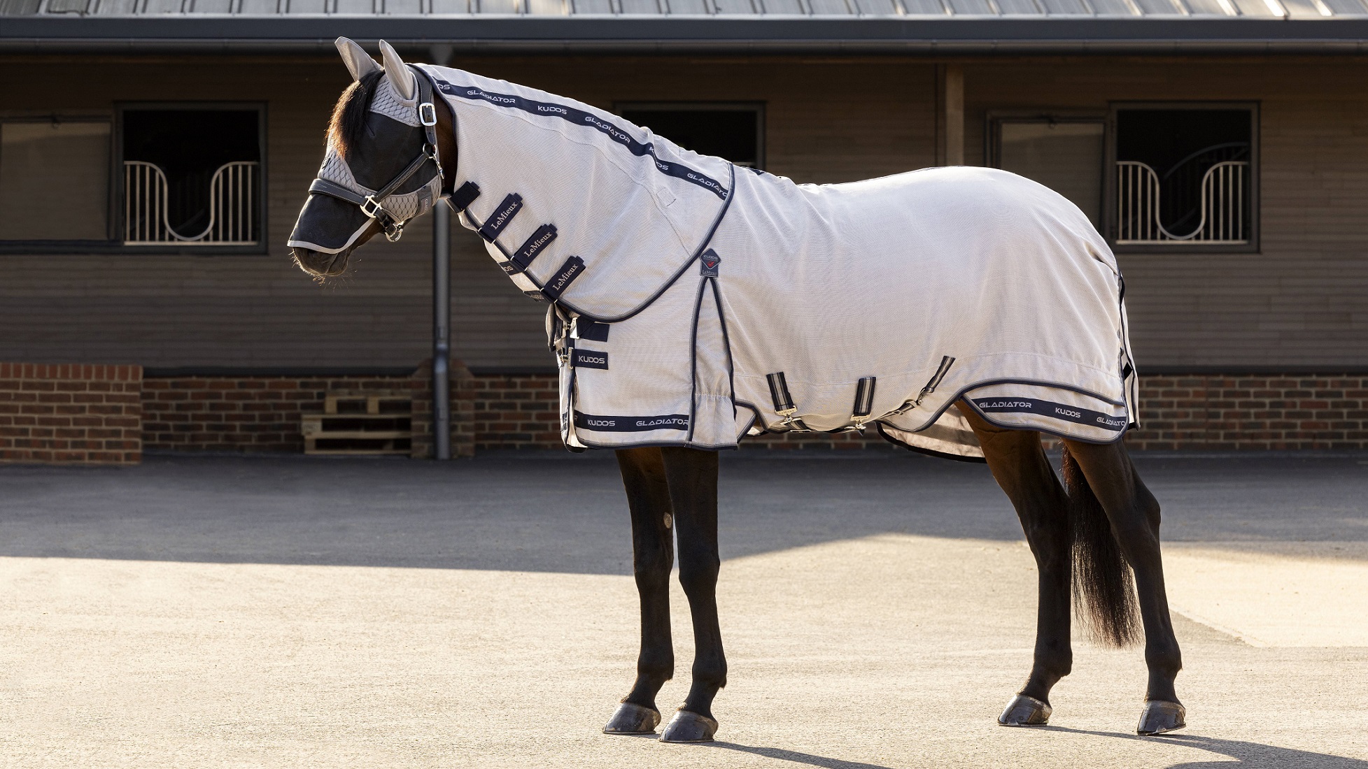 LeMieux Kudos Gladiator Fliegendecke, Fly Rug, Fliegenschutz