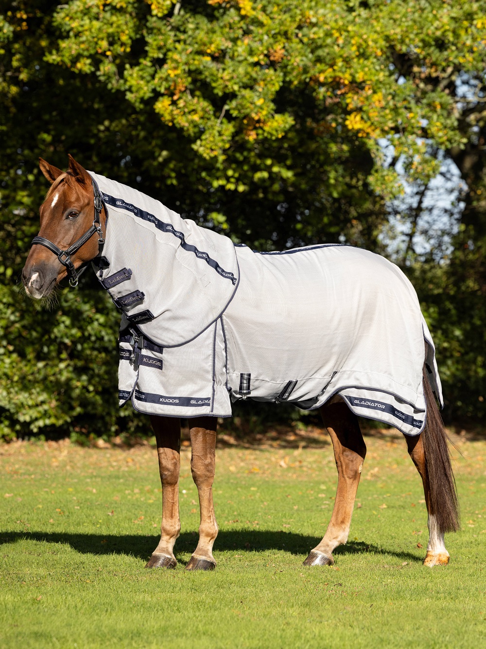 LeMieux Kudos Gladiator Fliegendecke, Fly Rug, Fliegenschutz