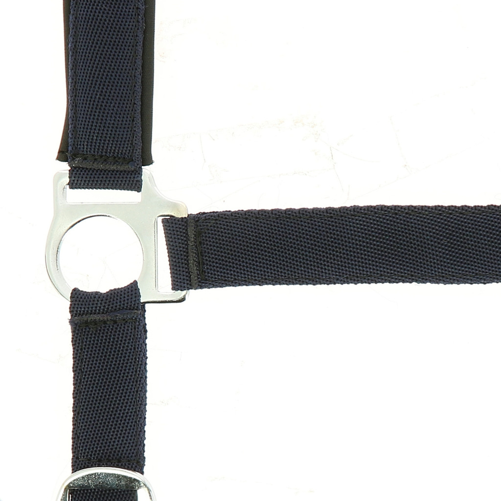 NORTON Nylon Halfter, mit Neopren unterlegt, Kaltblut