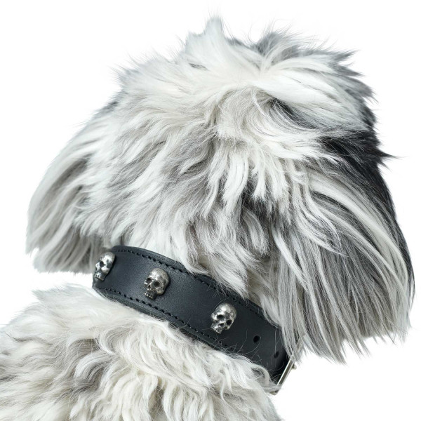Hunter Halsband Tijuana, schwarz