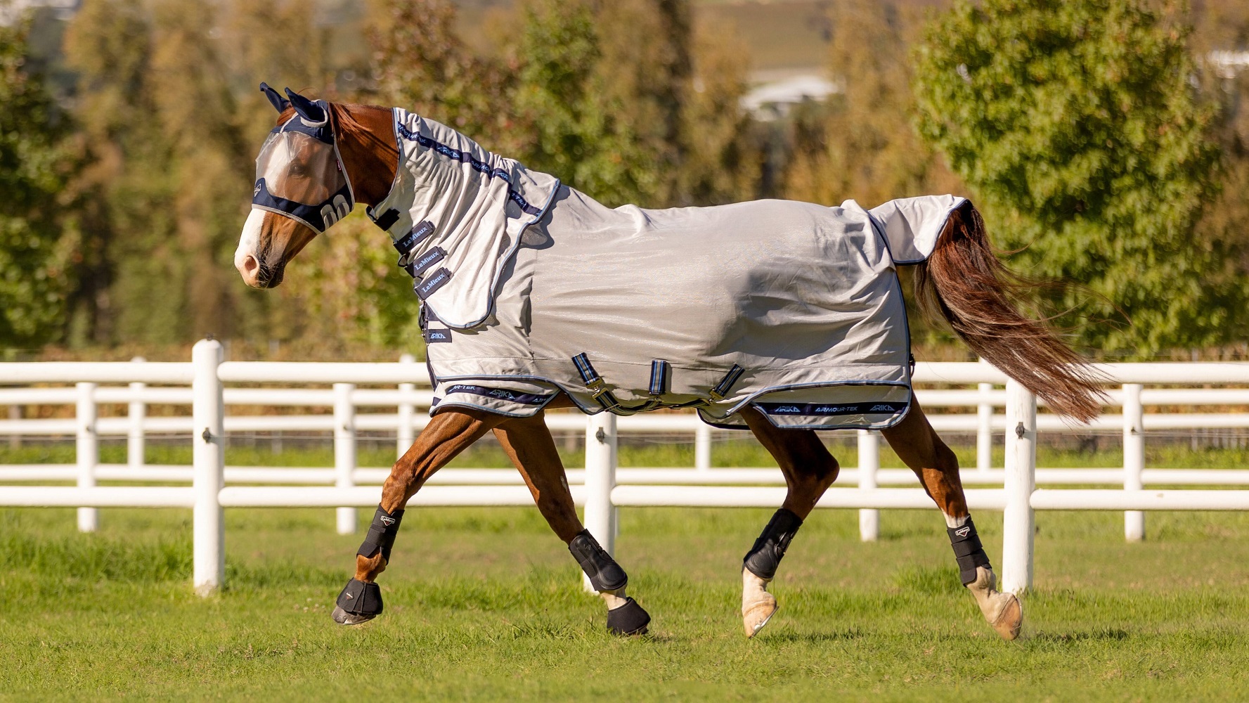 LeMieux Arika Armour-Tek Fliegendecke, Fly Rug, Fliegenschutz